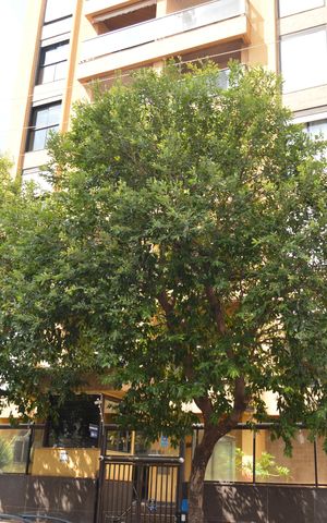 Apartamento para alugar com 48m², 1 quarto e 1 vagaFachada do Prédio