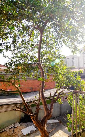 Casa à venda com 230m², 4 quartos e 5 vagas Casa à venda com 230m², 4 quartos e 5 vagasVista