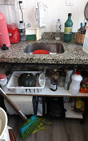 Apartamento para alugar com 80m², 2 quartos e sem vagaCozinha