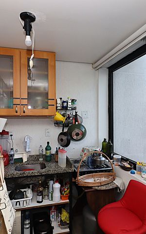Apartamento para alugar com 80m², 2 quartos e sem vagaCozinha