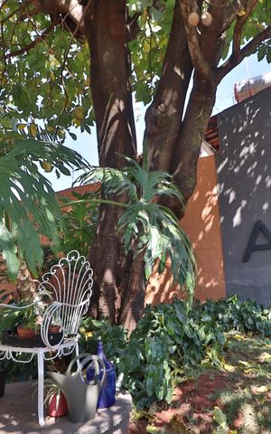 Casa para alugar com 630m², 3 quartos e 3 vagasQuintal - Jardim