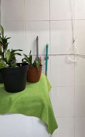 Apartamento para alugar com 62m², 2 quartos e 1 vagaCozinha e Área de Serviço