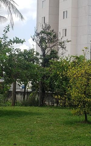 Apartamento para alugar com 59m², 2 quartos e 1 vaga Apartamento para alugar com 59m², 2 quartos e 1 vagaÁrea comum