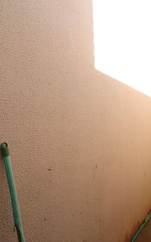 Casa para alugar com 50m², 2 quartos e 2 vagasÁrea de Serviço