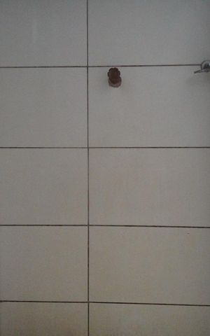 Apartamento para alugar com 30m², 1 quarto e sem vagaBanheiro