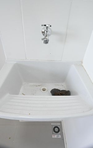 Apartamento para alugar com 45m², 2 quartos e 1 vaga