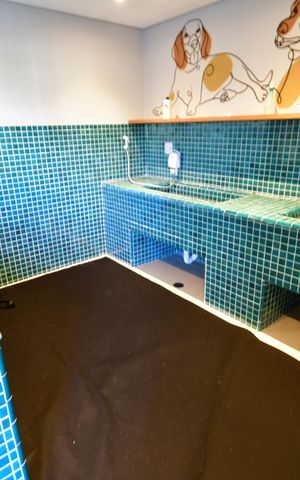 Apartamento à venda com 80m², 2 quartos e 3 vagasPet Place