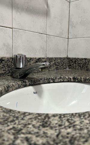 Apartamento para alugar com 79m², 2 quartos e 1 vaga Apartamento para alugar com 79m², 2 quartos e 1 vagaDetalhe do banheiro