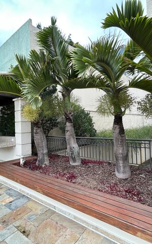 Apartamento à venda com 61m², 2 quartos e 1 vagaÁrea comum