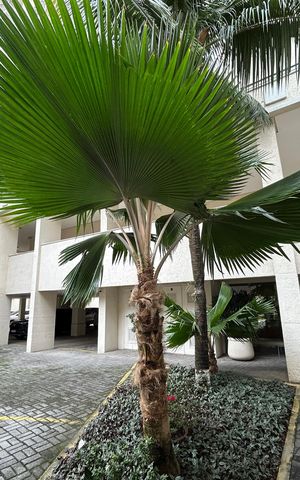 Apartamento à venda com 61m², 2 quartos e 1 vagaÁrea comum