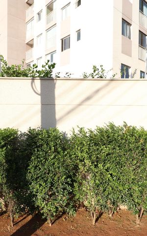 Apartamento à venda com 30m², 1 quarto e sem vagaFachada 