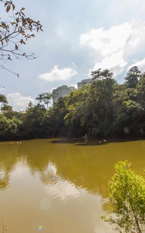 Apartamento à venda com 176m², 4 quartos e 3 vagasParque