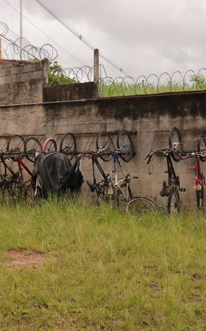 Apartamento à venda com 50m², 2 quartos e 1 vagaÁrea Comum - Bicicletário