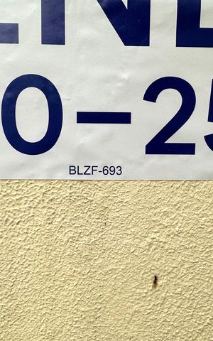 Apartamento para alugar com 80m², 2 quartos e 1 vaga