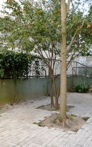 Apartamento para alugar com 100m², 3 quartos e 2 vagasPet place