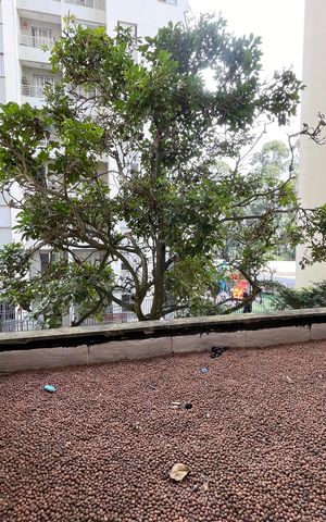 Apartamento para alugar com 48m², 2 quartos e 1 vaga Apartamento para alugar com 48m², 2 quartos e 1 vagaVista do Quarto 1