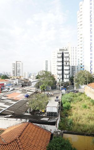 Studio para alugar com 25m², 1 quarto e sem vagaVista