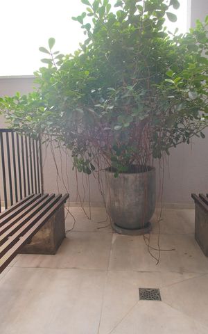 Apartamento para alugar com 25m², 1 quarto e sem vagaÁrea externa