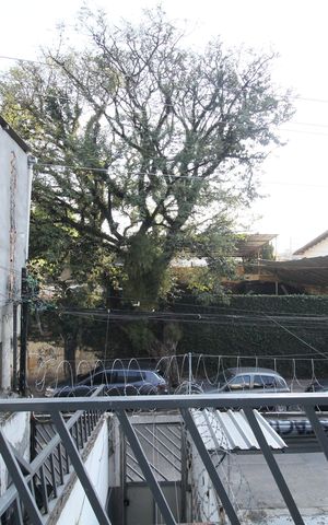 Casa para alugar com 80m², 2 quartos e sem vagaVista da Entrada