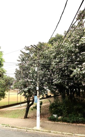 Casa à venda com 150m², 3 quartos e 2 vagas Casa à venda com 150m², 3 quartos e 2 vagasVista da Varanda