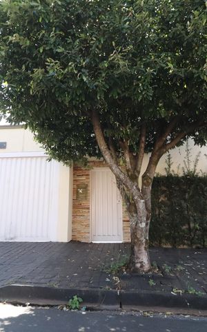 Casa para alugar com 187m², 3 quartos e 3 vagasFachada