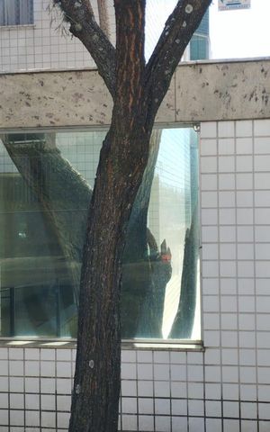 Apartamento à venda com 128m², 3 quartos e 2 vagas Apartamento à venda com 128m², 3 quartos e 2 vagasplaca instalada WZLX-181