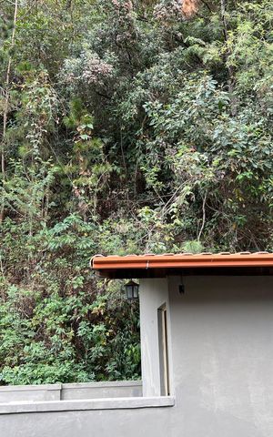 Casa para alugar com 357m², 7 quartos e 8 vagas Casa para alugar com 357m², 7 quartos e 8 vagasVista do Quarto 3