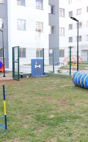 Apartamento para alugar com 35m², 2 quartos e sem vagaEspaço Pet