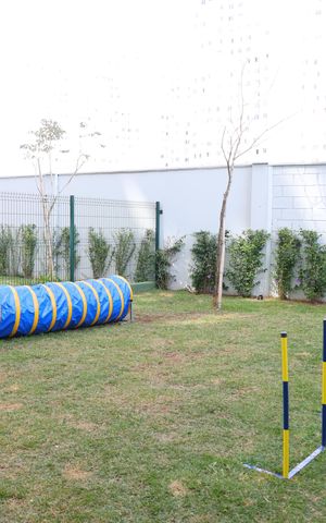 Apartamento para alugar com 35m², 2 quartos e sem vagaEspaço Pet
