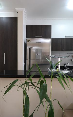 Apartamento à venda com 50m², 2 quartos e 1 vagaCozinha e Área de serviço 