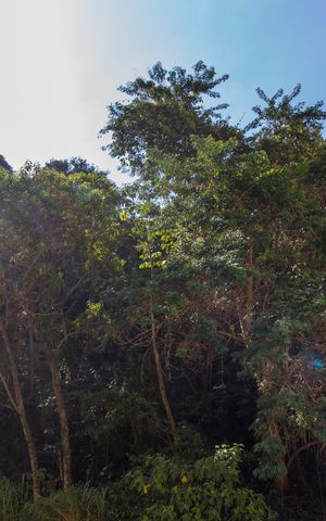 Apartamento à venda com 68m², 2 quartos e 1 vagaVista