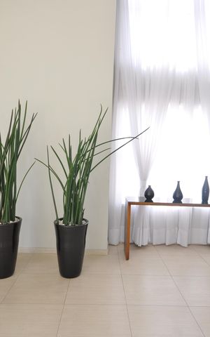 Apartamento à venda com 85m², 3 quartos e 2 vagasHall Social