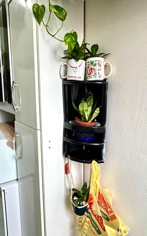 Apartamento à venda com 49m², 2 quartos e 1 vaga