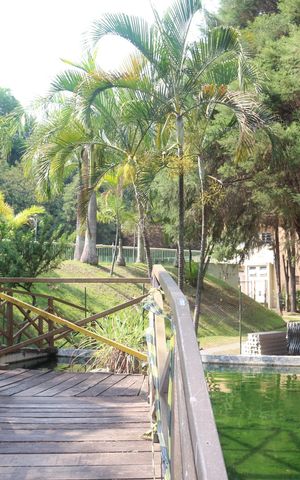 Apartamento à venda com 56m², 2 quartos e 1 vagaÁrea comum
