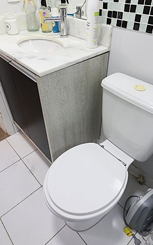 Apartamento para alugar com 67m², 3 quartos e 1 vagaBanheiro Social