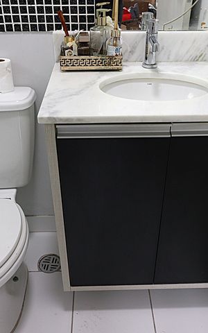 Apartamento para alugar com 67m², 3 quartos e 1 vagaBanheiro da Suíte