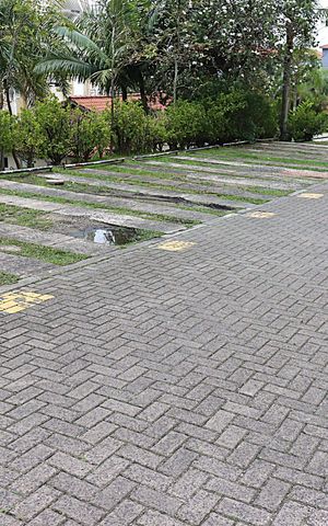 Apartamento para alugar com 67m², 3 quartos e 1 vagaÁrea comum - Vaga