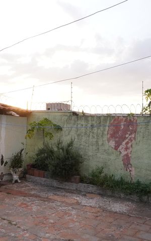 Casa para alugar com 122m², 4 quartos e 5 vagasQuintal
