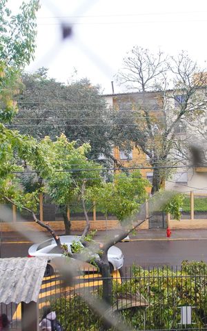 Apartamento para alugar com 53m², 3 quartos e 1 vagaVista da Sala