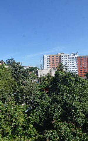 Apartamento para alugar com 70m², 2 quartos e 1 vagaVista do Quarto 2