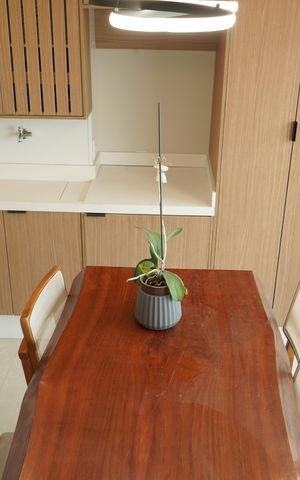 Apartamento à venda com 75m², 2 quartos e 1 vagaVaranda gourmet