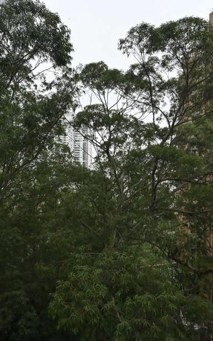 Apartamento à venda com 89m², 1 quarto e 2 vagasVista