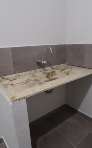 Casa para alugar com 50m², 2 quartos e sem vagaCozinha