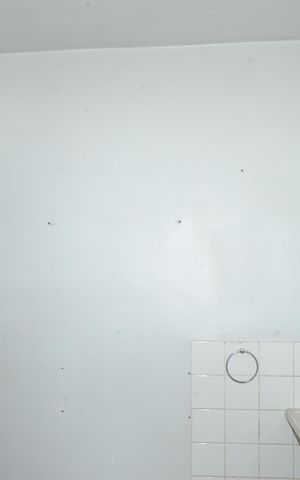 Apartamento à venda com 43m², 2 quartos e 1 vagaCozinha e Área de Serviço