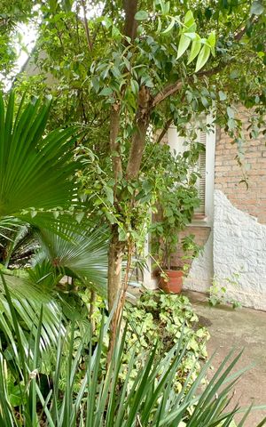 Casa para alugar com 200m², 4 quartos e 3 vagasEntrada