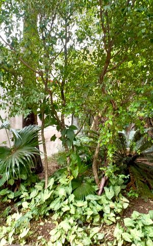 Casa para alugar com 200m², 4 quartos e 3 vagasEntrada