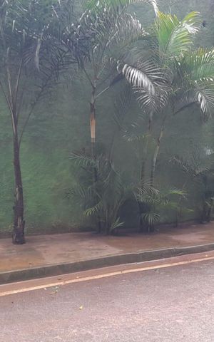 Casa para alugar com 520m², 4 quartos e 12 vagas Casa para alugar com 520m², 4 quartos e 12 vagasFachada