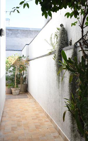 Casa de condomínio à venda com 245m², 4 quartos e 4 vagasQuintal