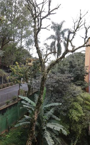 Apartamento para alugar com 57m², 2 quartos e 1 vagaVista da Varanda