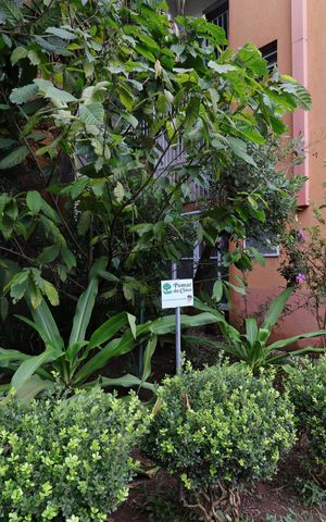 Apartamento para alugar com 57m², 2 quartos e 1 vagaárea verde